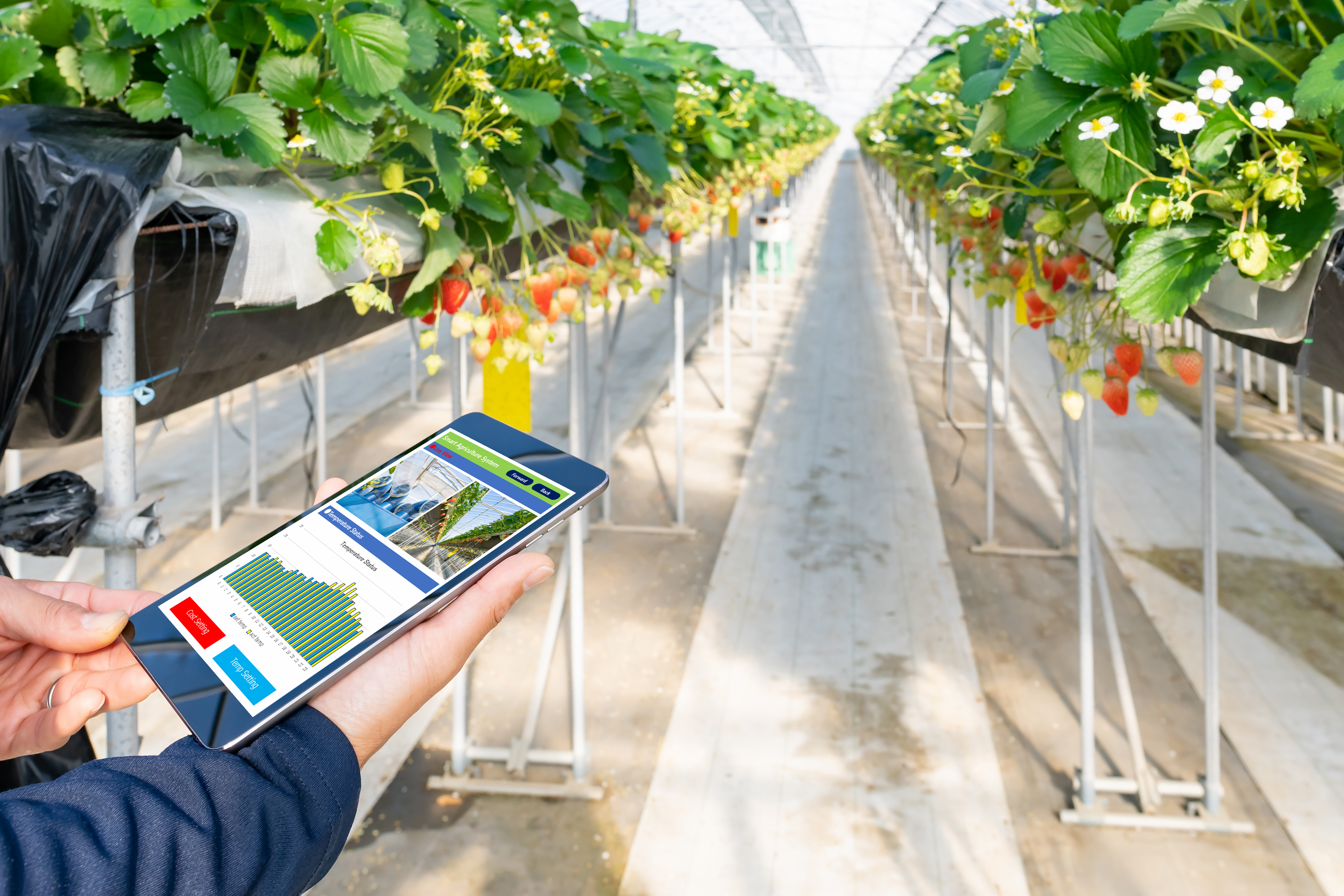 Solutions AgriTech GBG